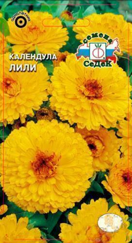 Купить оптом в Ботанике семена Календула Лили Сед бренд СеДеК