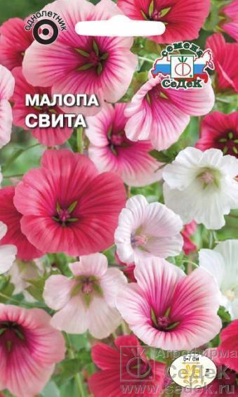 Купить оптом в Ботанике семена Малопа Свита трехнадрезная Сед бренд СеДеК