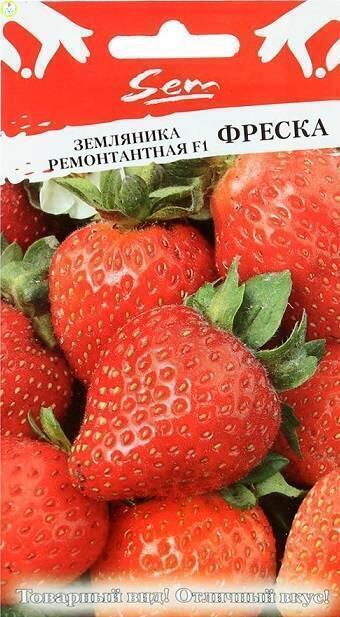 Купить оптом в Ботанике семена Земляника Фреска F1 НК бренд НК