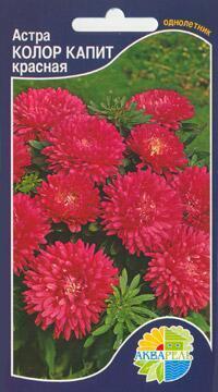 Купить оптом в Ботанике семена Астра Колор капит красная Акв бренд Акварель