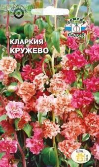 Купить оптом в Ботанике семена Кларкия Кружево Сед бренд СеДеК