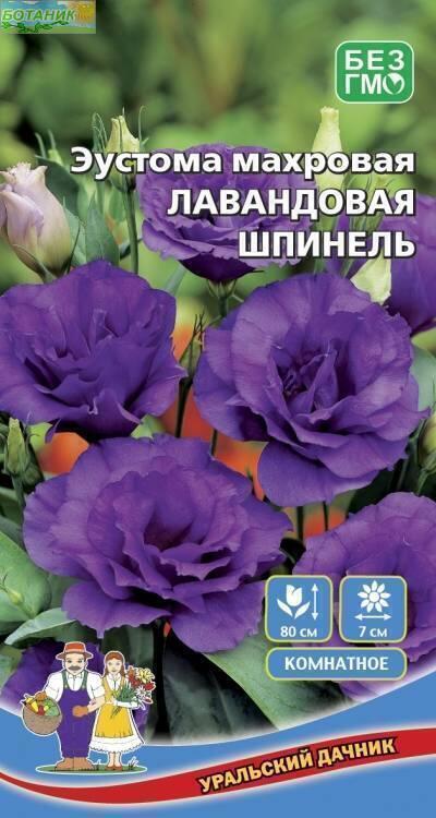Купить оптом в Ботанике семена Эустома Лавандовый шпинель УД бренд Уральский дачник