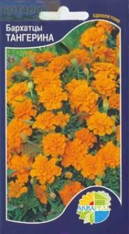Купить оптом в Ботанике семена Бархатцы Тангерина Акв бренд Акварель