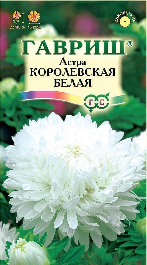 Купить оптом в Ботанике семена Астра Королевская белая Гав бренд Гавриш