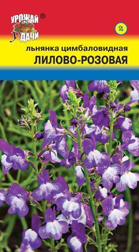 Купить оптом в Ботанике семена Льнянка Лилово розовая цимб УУ бренд Урожай Удачи