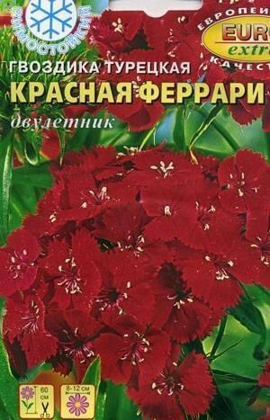 Купить оптом в Ботанике семена Гвоздика турецкая Красная Феррари Аэл бренд Аэлита