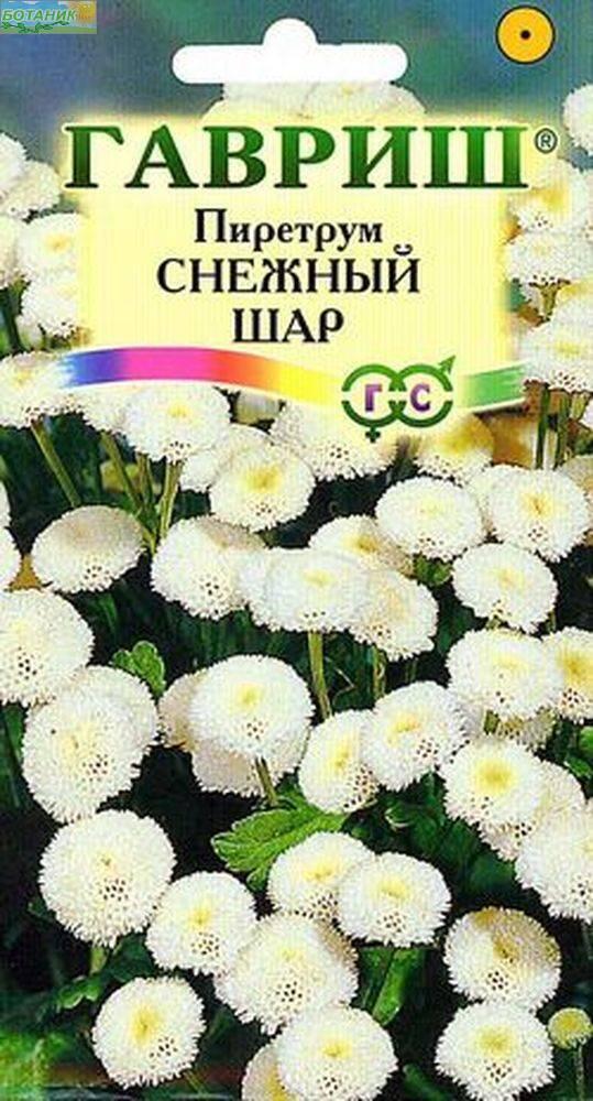Купить оптом в Ботанике семена Пиретрум Снежный шар Гав бренд Гавриш