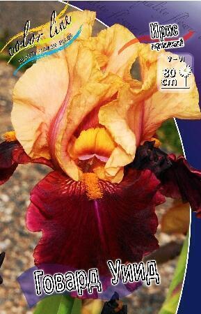 Купить оптом в Ботанике Ирис Говард Уиид 2 шт