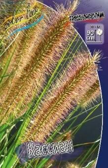 Купить оптом в Ботанике Пеннисетум Кассиан 2 шт