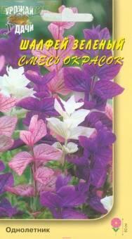 Купить оптом в Ботанике семена Шалфей Зеленый смесь окрасок УУ бренд Урожай Удачи