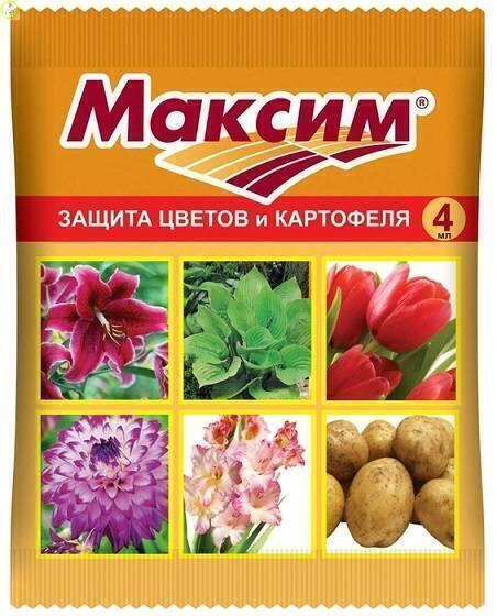 Купить оптом в Ботанике Максим 4 мл (150) (ВХ)