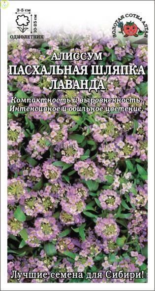Купить оптом в Ботанике семена Алиссум Пасхальная шляпка лаванда ЗС бренд Золотая сотка