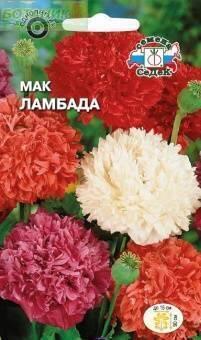 Купить оптом в Ботанике семена Мак Ламбада Сед бренд СеДеК