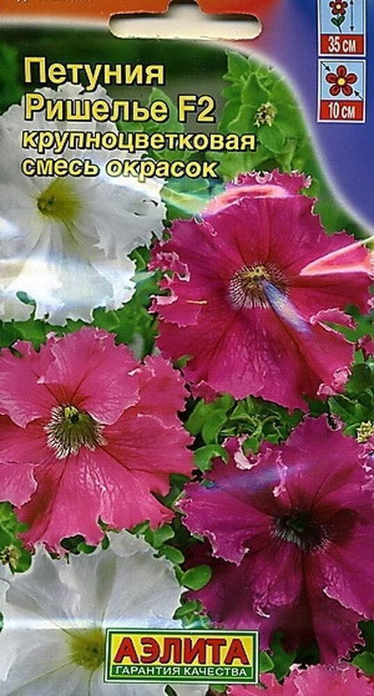 Купить оптом в Ботанике семена Петуния Ришелье F2 Аэл бренд Аэлита