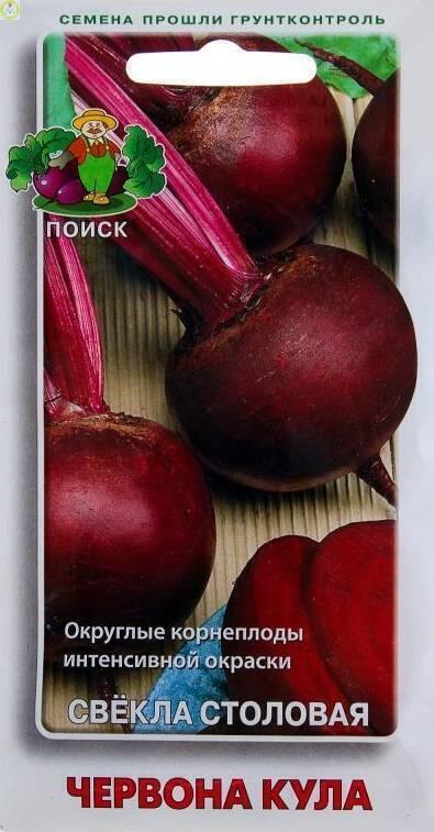Купить оптом в Ботанике семена Свекла Червона Кула Поиск бренд Поиск