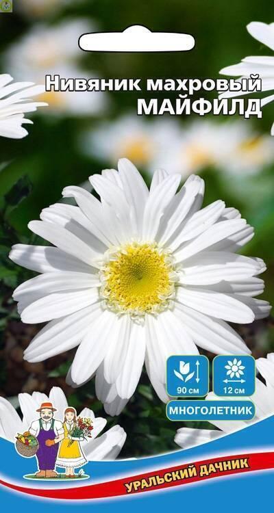 Купить оптом в Ботанике семена Нивяник Майфилд УД бренд Уральский дачник