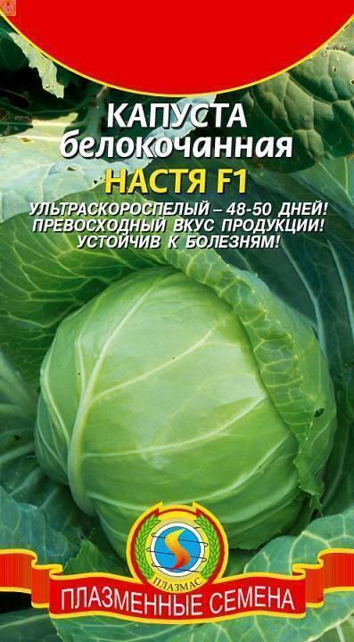 Купить оптом в Ботанике семена Капуста белокочанная Настя F1 Плз бренд Плазмас