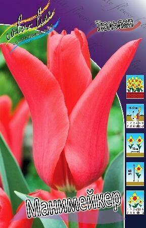 Купить оптом в Ботанике Тюльпан Манимейкер 10 шт