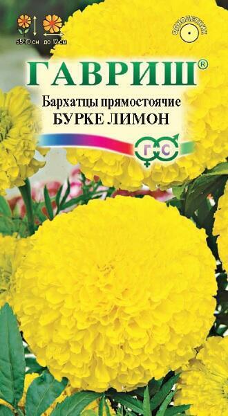 Купить оптом в Ботанике семена Бархатцы Бурке лимон Гав бренд Гавриш