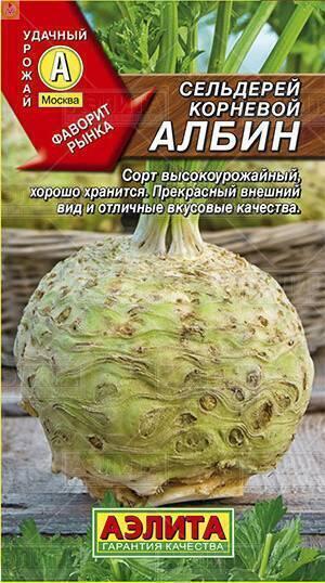 Купить оптом в Ботанике семена Сельдерей Албин корневой Аэл бренд Аэлита