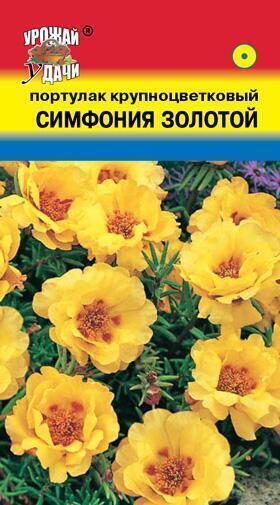 Купить оптом в Ботанике семена Портулак Симфония золотой УУ бренд Урожай Удачи