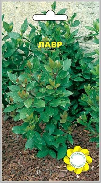 Купить оптом в Ботанике семена Лавр Благородный УУ бренд Урожай Удачи
