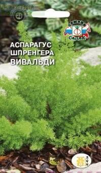 Купить оптом в Ботанике семена Аспарагус Вивальди Сед бренд СеДеК