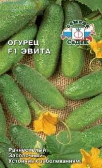 Купить оптом в Ботанике семена Огурец Эвита F1 Сед бренд СеДеК