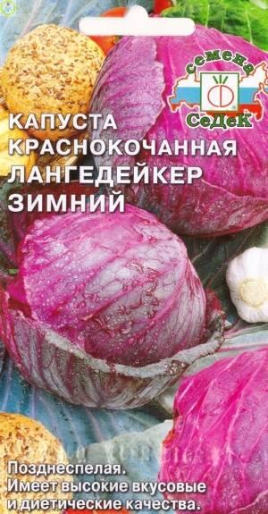 Купить оптом в Ботанике семена Капуста краснокочанная Лангедейкер зимний Сед бренд СеДеК