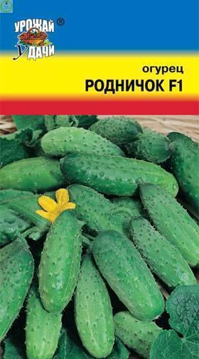 Купить оптом в Ботанике семена Огурец Родничок F1 УУ бренд Урожай Удачи