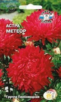 Купить оптом в Ботанике семена Астра Метеор Сед бренд СеДеК