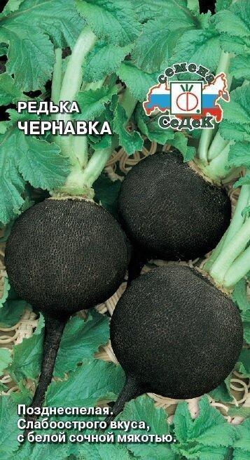 Купить оптом в Ботанике семена Редька Чернавка Сед бренд СеДеК
