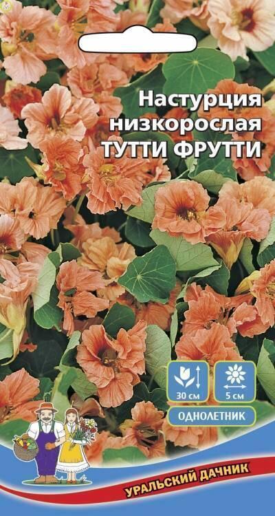 Купить оптом в Ботанике семена Настурция Тутти Фрутти УД бренд Уральский дачник