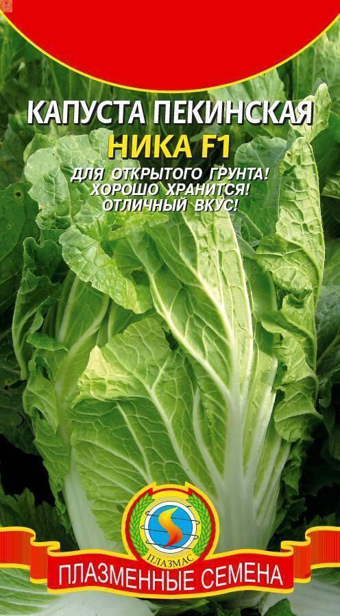 Купить оптом в Ботанике семена Капуста пекинская Ника F1 Плз бренд Плазмас