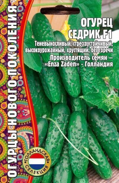 Купить оптом в Ботанике семена Огурец Седрик Реш бренд Решение, ООО
