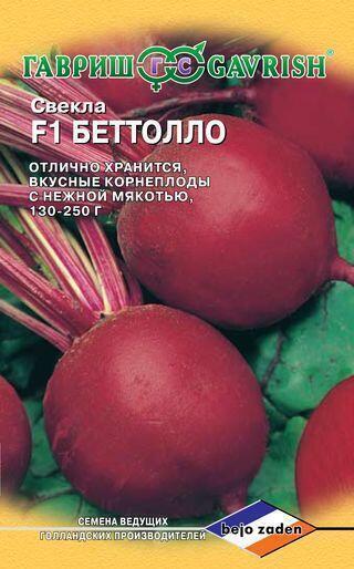 Купить оптом в Ботанике семена Свекла Беттолло F1 Голландия Гав бренд Гавриш