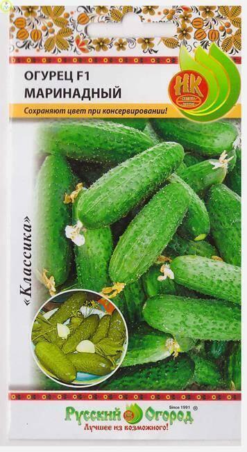 Купить оптом в Ботанике семена Огурец Маринадный F1 НК бренд НК