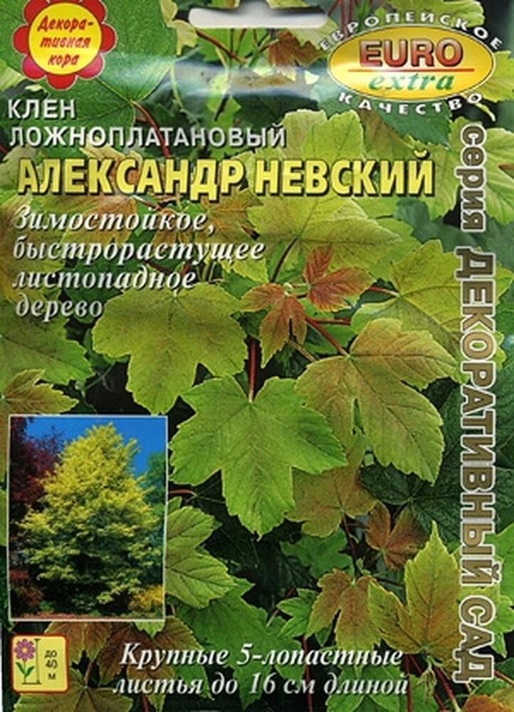 Купить оптом в Ботанике семена Клен Александр Невский ложноплатановый Аэл бренд Аэлита