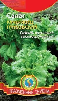 Купить оптом в Ботанике семена Салат Кучерявец Грибовский Плз бренд Плазмас