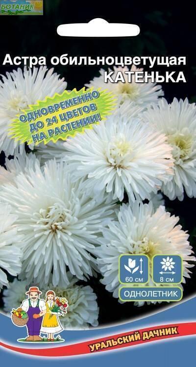 Купить оптом в Ботанике семена Астра Катенька обильноцветущая УД бренд Уральский дачник