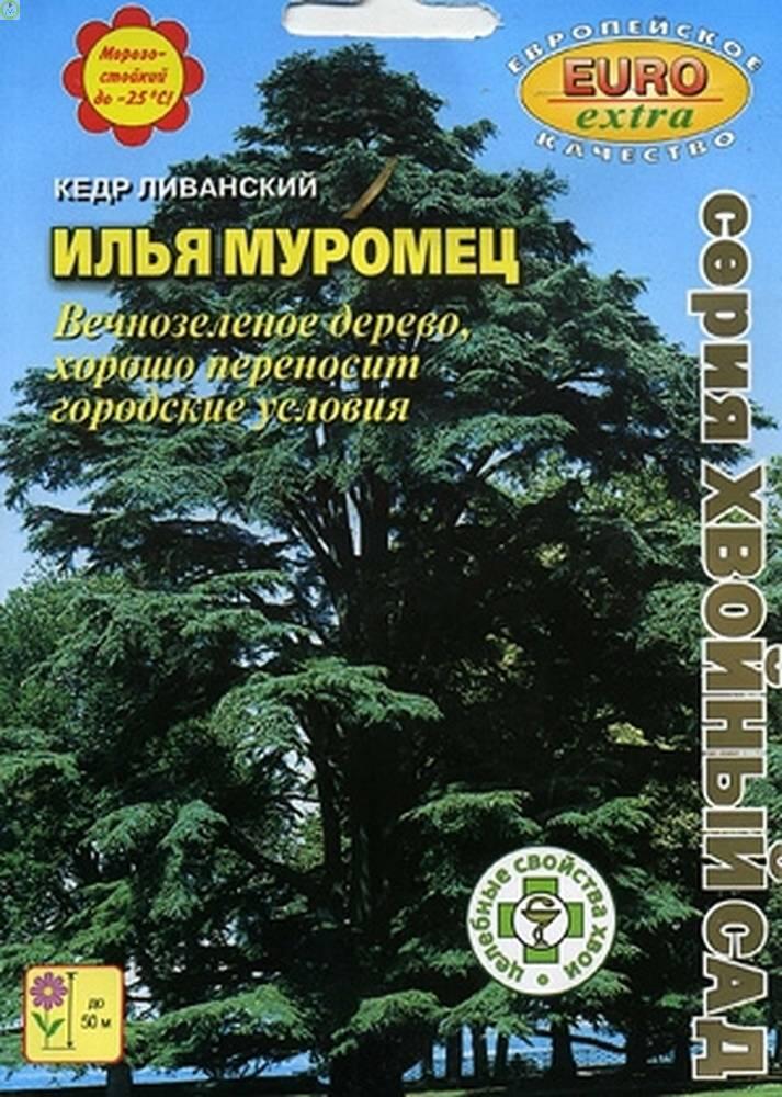 Купить оптом в Ботанике семена Кедр Илья Муромец ливанский Аэл бренд Аэлита