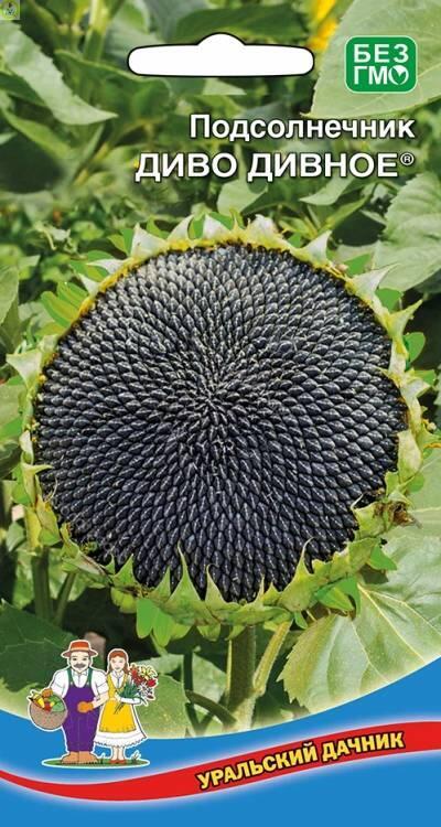 Купить оптом в Ботанике семена Подсолнечник Диво дивное УД бренд Уральский дачник