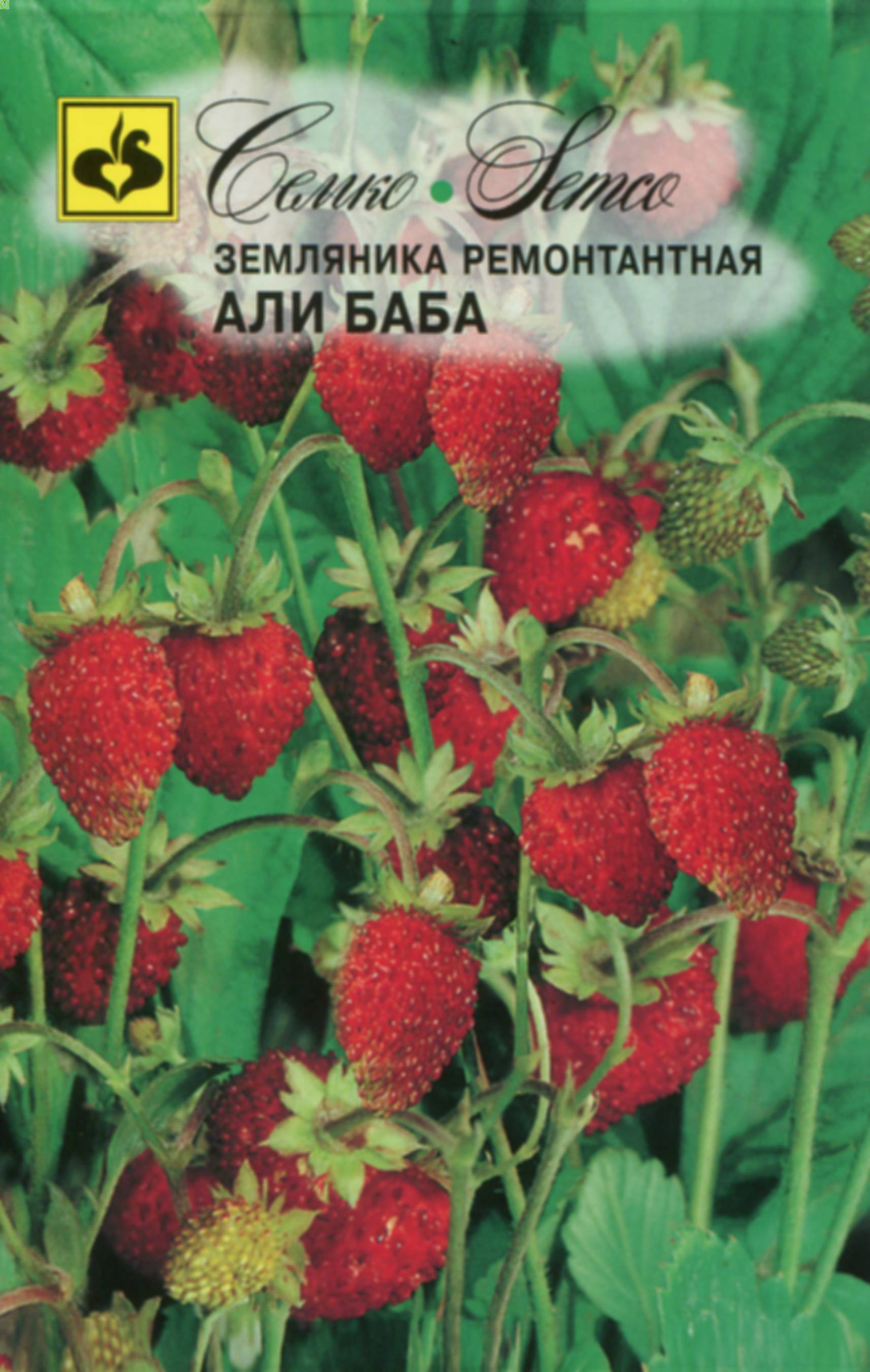 Купить оптом в Ботанике семена Клубника ремонтантная Али-Баба Сем бренд Семко