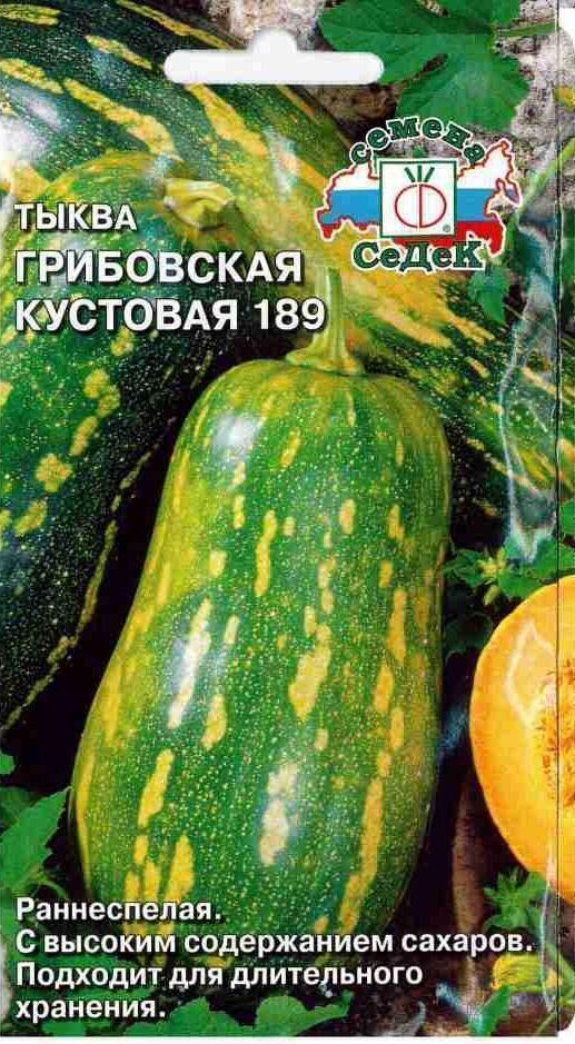 Купить оптом в Ботанике семена Тыква Грибовская кустовая 189 Сед бренд СеДеК