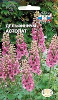 Купить оптом в Ботанике семена Дельфиниум Астолат розовый Сед бренд СеДеК
