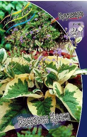 Купить оптом в Ботанике Бруннера Хадспен крем 1 шт