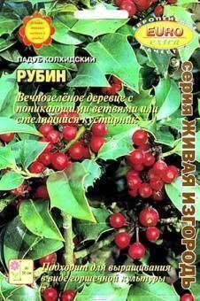 Купить оптом в Ботанике семена Падуб Рубин колхидский БП Аэл бренд Аэлита