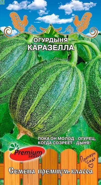 Купить оптом в Ботанике семена Огурдыня Каразелла ПС бренд Премиум Сидс