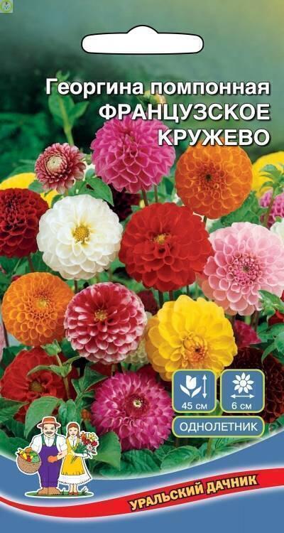 Купить оптом в Ботанике семена Георгина Французское кружево УД бренд Уральский дачник