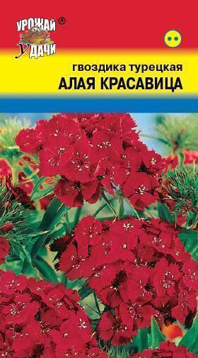 Купить оптом в Ботанике семена Гвоздика турецкая Алая красавица УУ бренд Урожай Удачи
